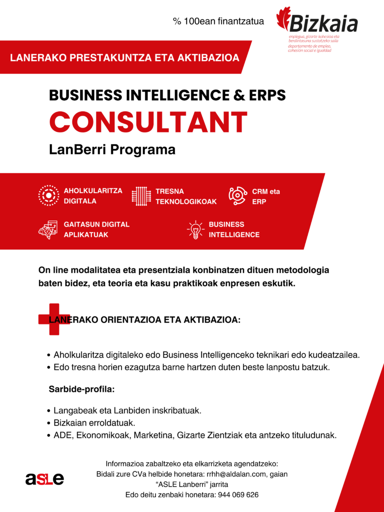 ASLE_Business Intelligence & ERPs Consultant formakuntza eta lan aktibazioarako programa