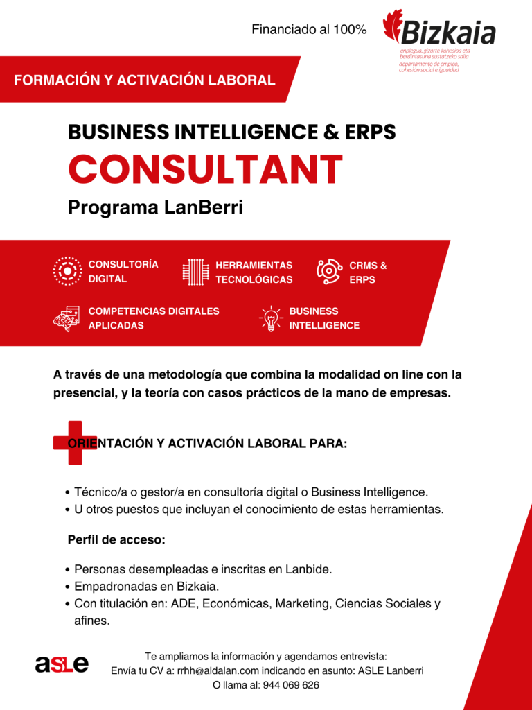 Business Intelligence & ERPs Consultant 2023 Programa LanBerri para la activación Laboral. 100% Financiado por la Diputación Foral de Bizkaia